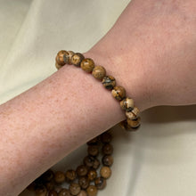 Load image into Gallery viewer, Picture Jasper Bracelets
