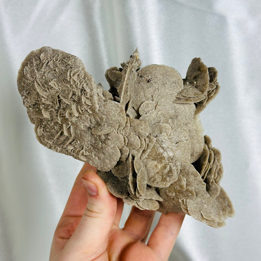 XL Desert Rose Specimen (11oz)