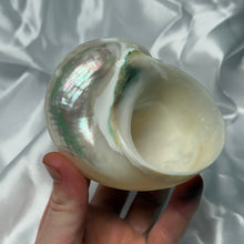 Load image into Gallery viewer, XL Pearlized Turbo Shell
