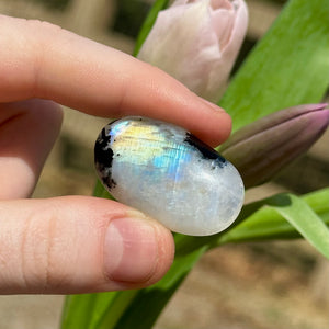 10.64g A Grade Rainbow Moonstone with Black Tourmaline Inclusions Cabochon
