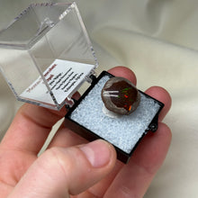 Load image into Gallery viewer, Chocolate Opal C
