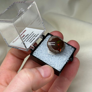 Chocolate Opal C