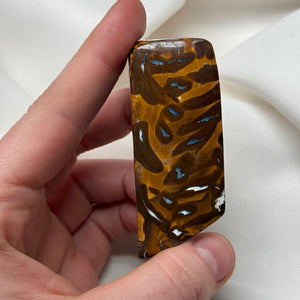 Australian Boulder Opal Specimen