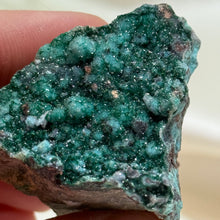 Load image into Gallery viewer, Druzy Malachite over Chrysocolla Specimen
