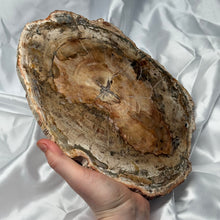 Load image into Gallery viewer, XL Petrified Wood Slab B
