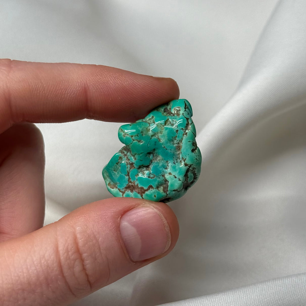 Mexican Turquoise Specimen B