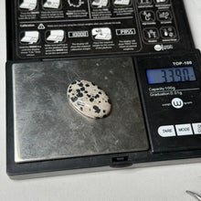Load image into Gallery viewer, Dalmation Jasper Cabochon 33.9ct
