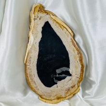 Load image into Gallery viewer, XL Petrified Wood Polished Slab B (3lb15oz)
