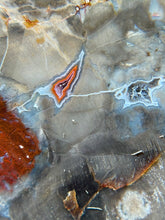Load image into Gallery viewer, Petrified Wood Slab
