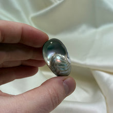 Load image into Gallery viewer, Drilled Pearly Shell A
