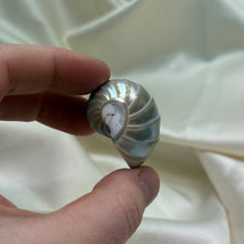 Load image into Gallery viewer, Drilled Pearly Shell B
