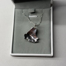Load image into Gallery viewer, Sterling Silver Chunky Frog Necklace (The Sterling Collection Release 001)
