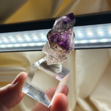 Load image into Gallery viewer, Shangaan Amethyst Sceptar with Enhydros
