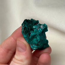Load image into Gallery viewer, Dioptase Cluster A
