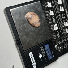 Load image into Gallery viewer, Black Sunstone Cabochon 44.15ct
