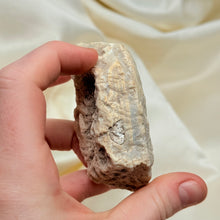 Load image into Gallery viewer, Indonesian Agate Pair A
