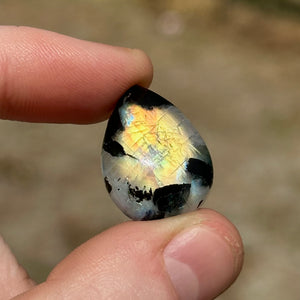 4g AA Grade Rainbow Moonstone with Black Tourmaline Inclusions Cabochon