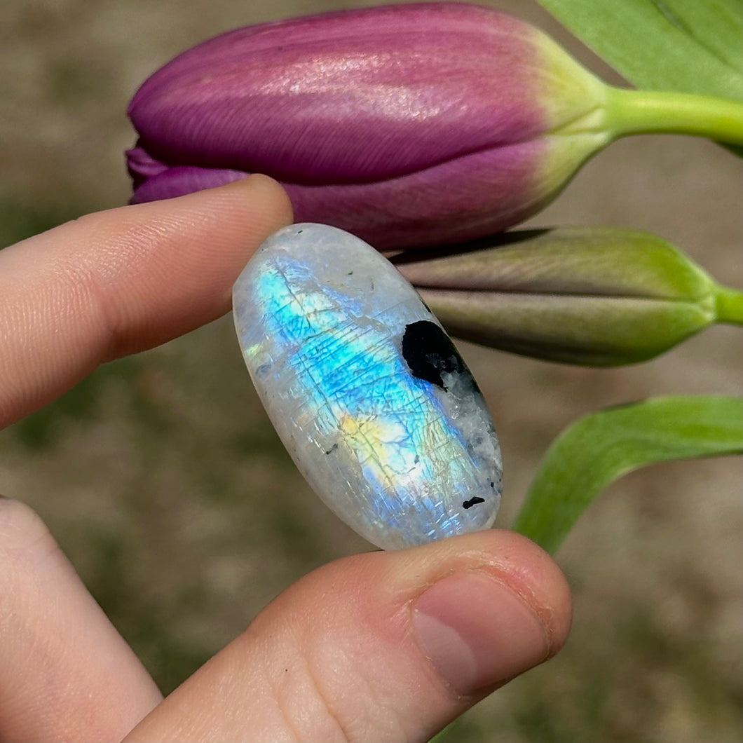 9.6g A Grade Rainbow Moonstone with Black Tourmaline Inclusions Cabochon