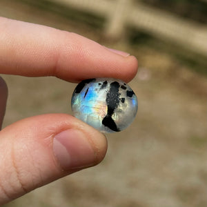 3.2g AA Grade Rainbow Moonstone with Black Tourmaline Inclusions Cabochon