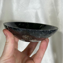 Load image into Gallery viewer, Orthoceras Fossil Bowl E
