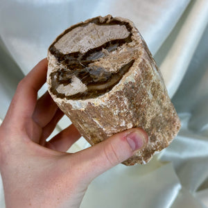 XL Petrified Wood Log (2lb7oz)