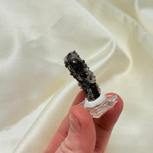 Load image into Gallery viewer, RARE Smoky Quartz on Petrified Wood Specimen from Arizona
