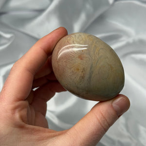 Polychrome Jasper Palmstone B