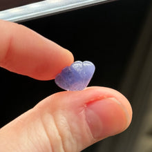 Load image into Gallery viewer, Tanzanite Shell Carving
