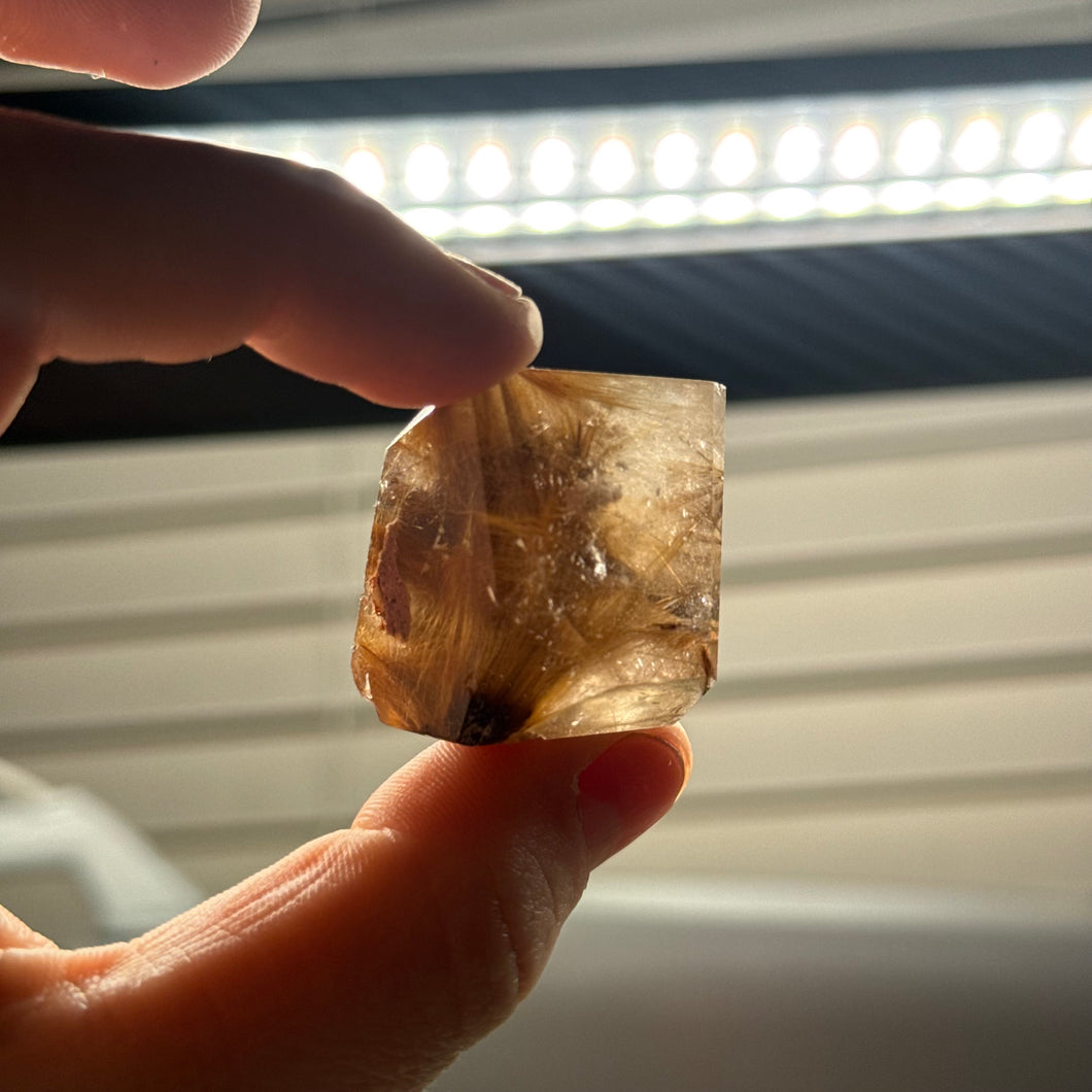Rutilated Quartz Freeform A