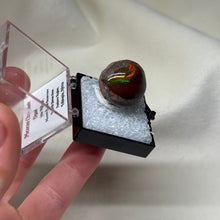 Load image into Gallery viewer, Chocolate Opal A
