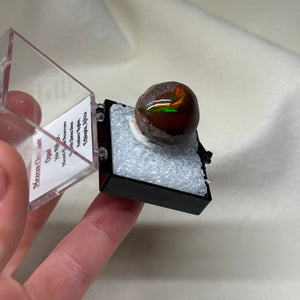 Chocolate Opal A