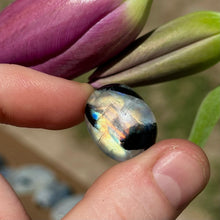 Load image into Gallery viewer, 4.1g AA Grade Rainbow Moonstone with Black Tourmaline Inclusions Cabochon
