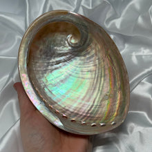 Load image into Gallery viewer, XL Pearlized Abalone Shell A
