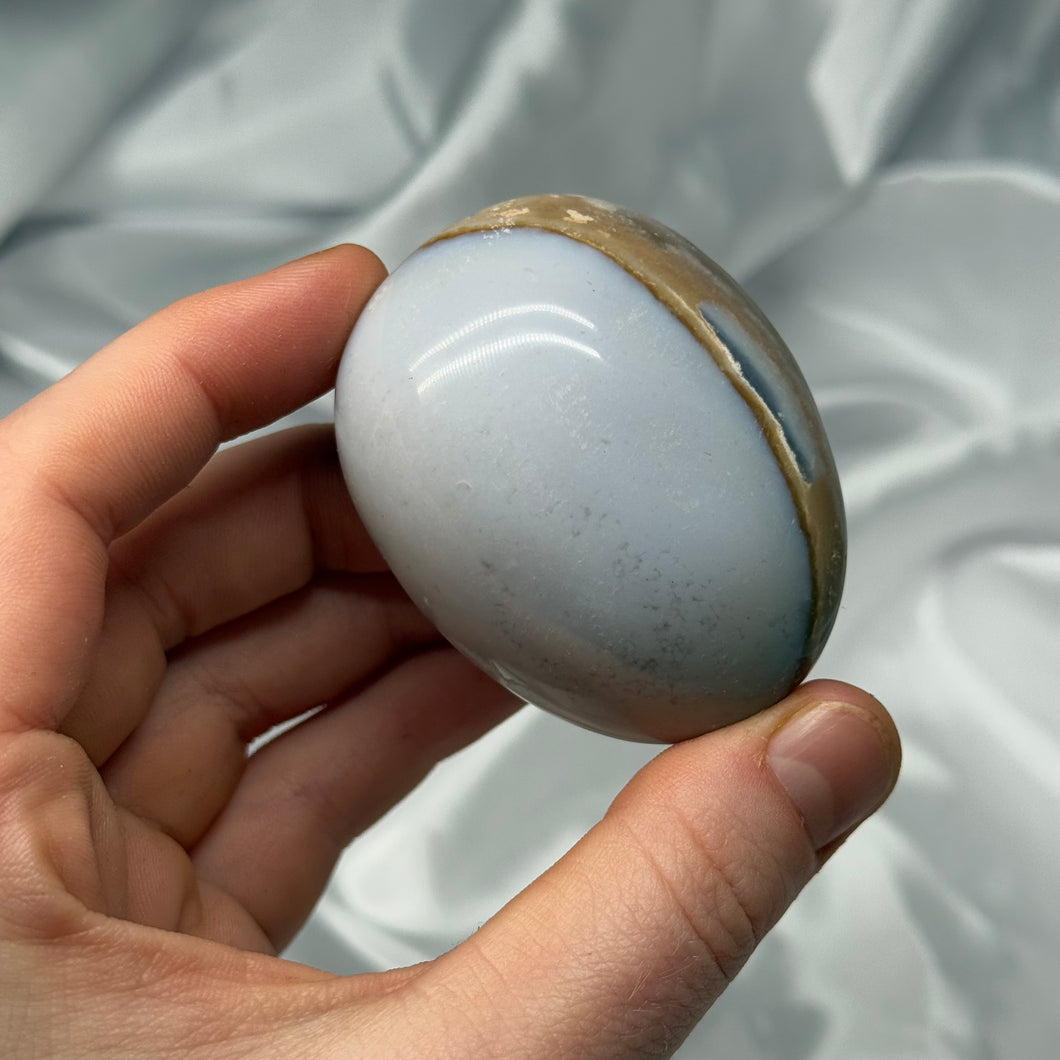 Sea Jasper Palmstone J