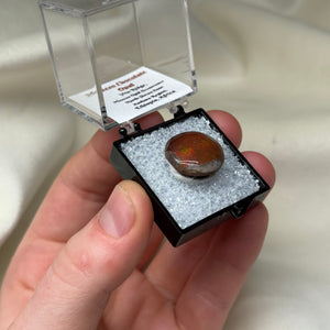 Chocolate Opal D