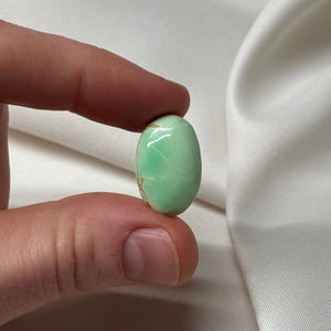 Rare! Utah Variscite Mini Palm A