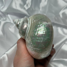 Load image into Gallery viewer, XL Pearlized Turbo Shell
