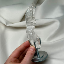 Load image into Gallery viewer, Rare! Clear Quartz Sculpture Carving on Stand by Walter Lopes 1
