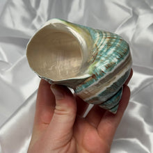 Load image into Gallery viewer, Green/Blue with Pearlized Stripes Turbo Shell B
