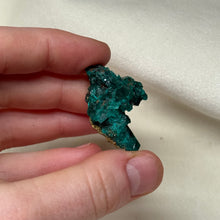 Load image into Gallery viewer, Dioptase Cluster C
