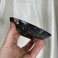 Load image into Gallery viewer, Orthoceras Fossil Bowl B
