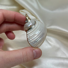 Load image into Gallery viewer, Pearlized Turbo Shell Pendant E
