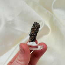 Load image into Gallery viewer, RARE Smoky Quartz on Petrified Wood Specimen from Arizona
