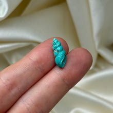 Load image into Gallery viewer, High Quality American Turquoise Shell Carving
