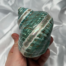 Load image into Gallery viewer, Green/Blue with Pearlized Stripes Turbo Shell A
