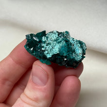Load image into Gallery viewer, Dioptase Cluster B
