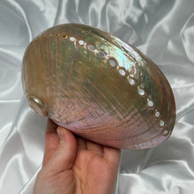 Load image into Gallery viewer, XL Pearlized Abalone Shell A
