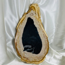 Load image into Gallery viewer, XL Petrified Wood Polished Slab A (3lb 8oz)
