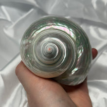 Load image into Gallery viewer, XL Pearlized Turbo Shell
