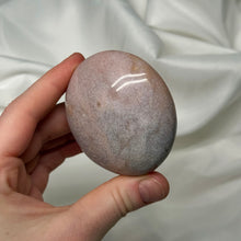 Load image into Gallery viewer, Pretty in Pink Sea Jasper Palm
